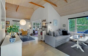 تلفزيون، مدفأة