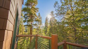 A wooden deck with metal railings overlooking a forested area. - Starfire 1994 (Keystone)