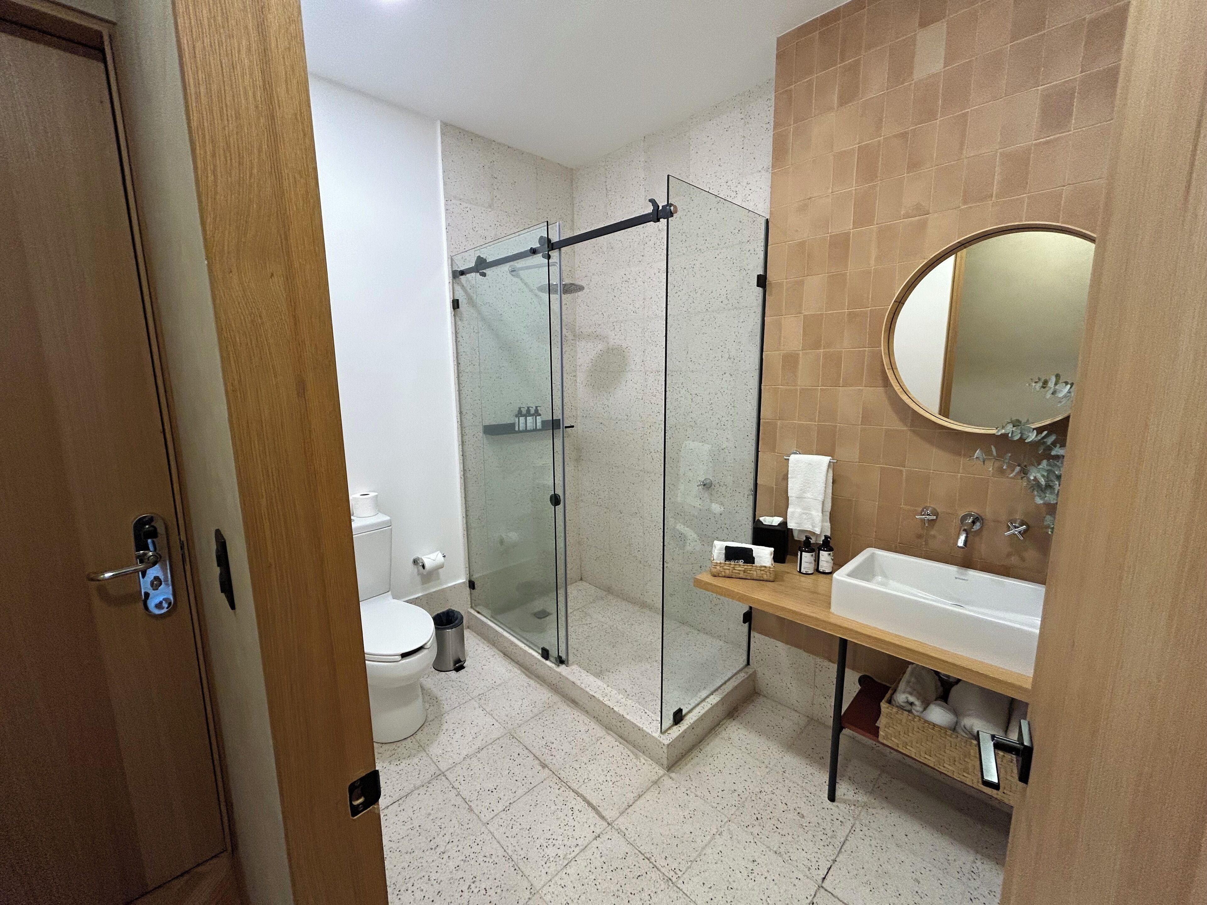 A modern bathroom with a glass shower enclosure, a white toilet, and a wooden vanity with a mirror.