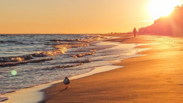 Vlak bij het strand