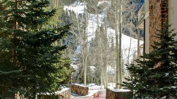 شقة بريميير - غرفتا نوم - بمغطس ساخن - بمنظر للمنتجع (Chateaux DuMont 2717) | المنشأة من الخارج