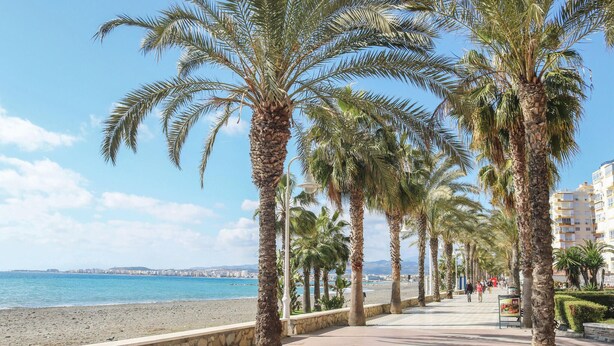 Un paseo marítimo bordeado de palmeras, un muro de piedra y vistas al mar y edificios lejanos.