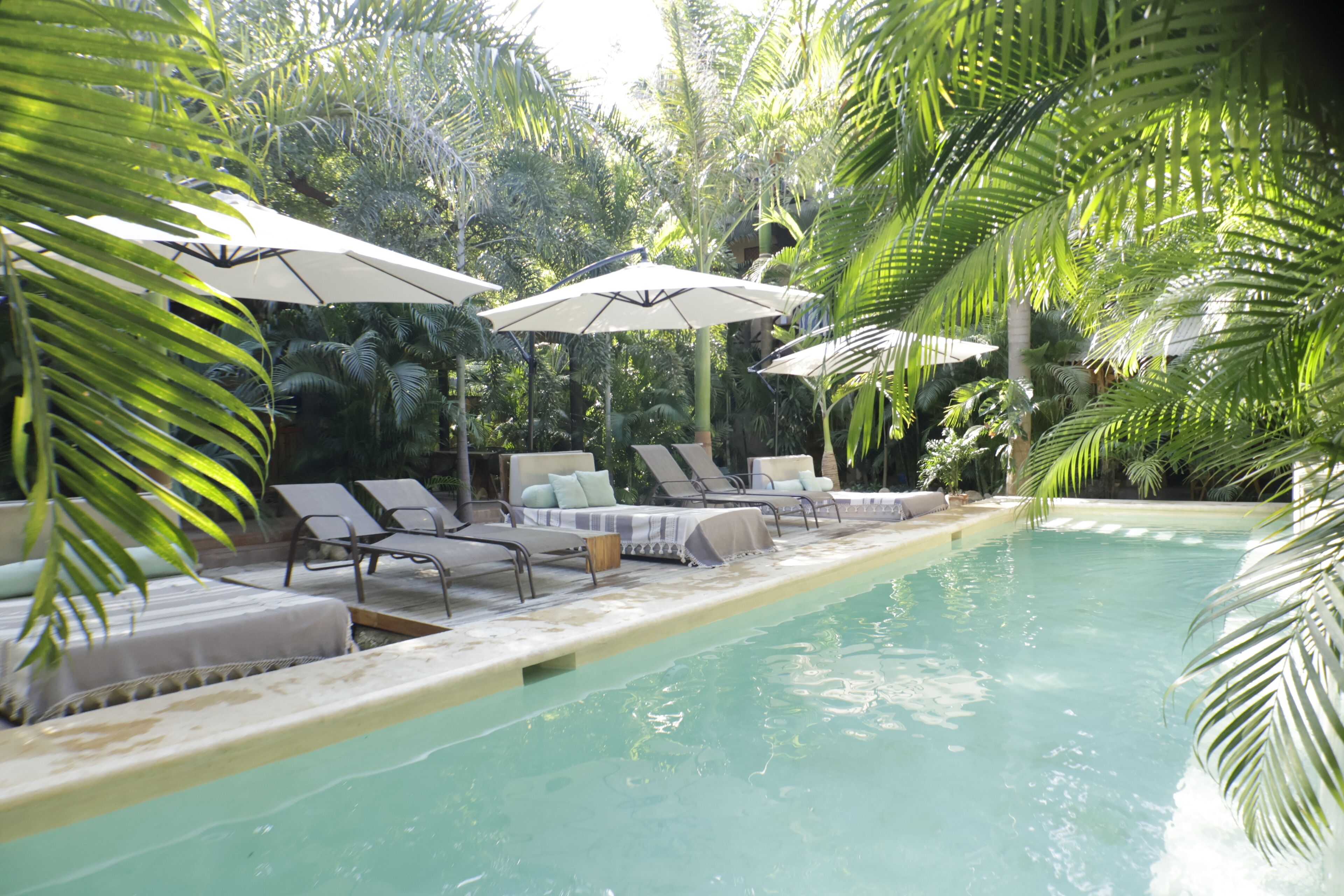 Foto - Hotel Gallo de Mar