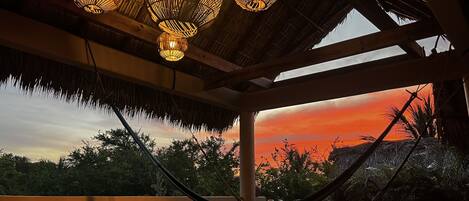 A hammock, a sofa, and a ceiling with hanging lights.