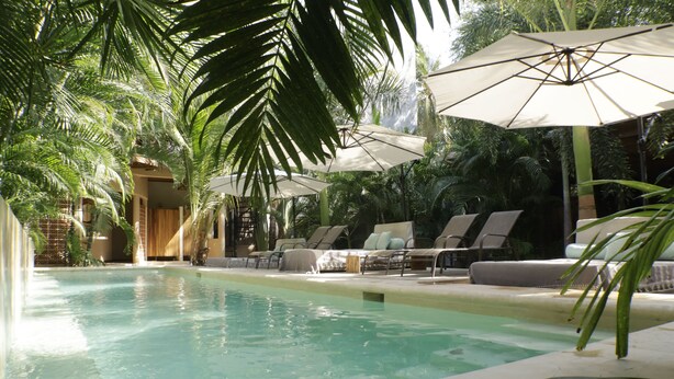 A pool area with lounge chairs and umbrellas, surrounded by palm trees.