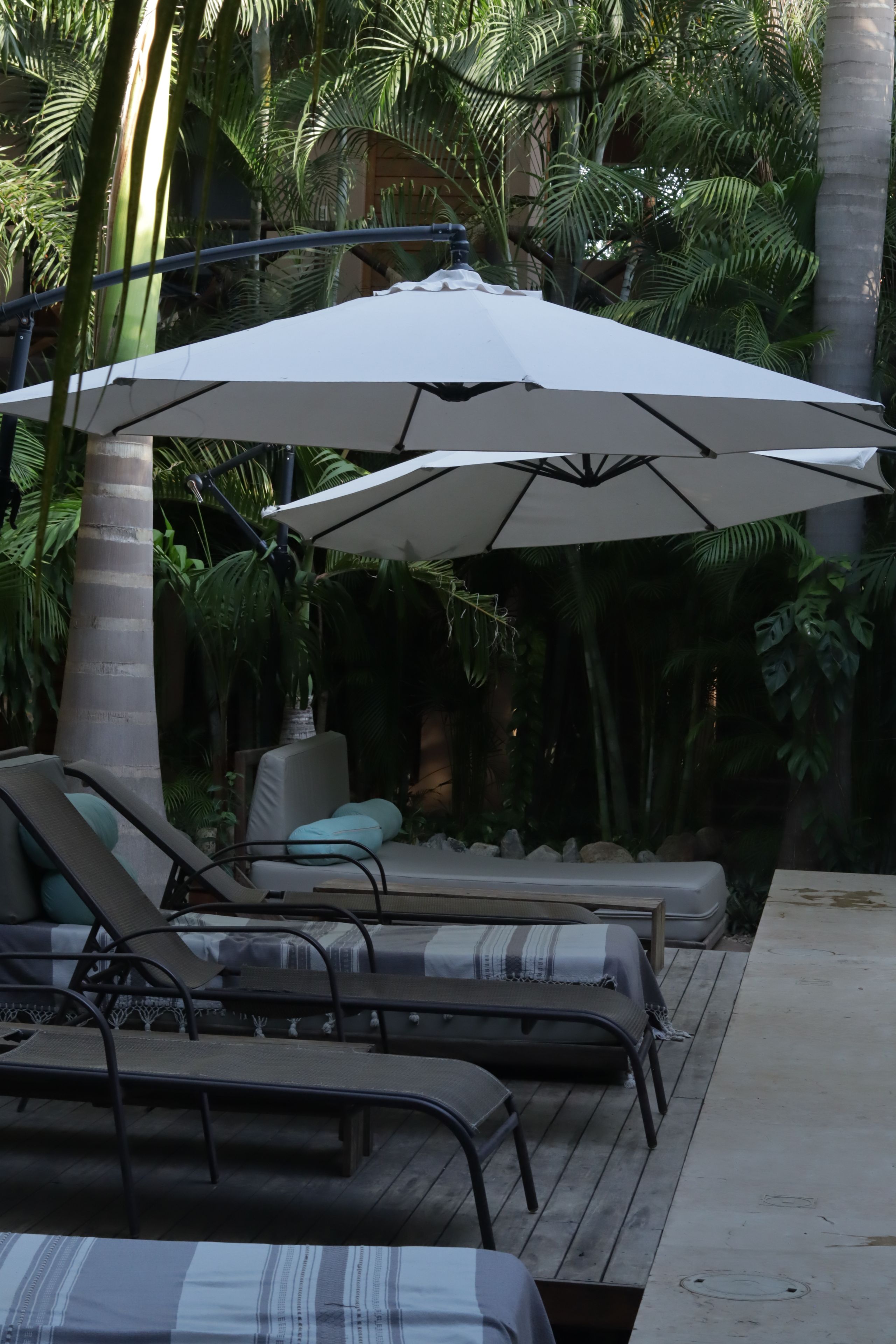 Foto - Hotel Gallo de Mar