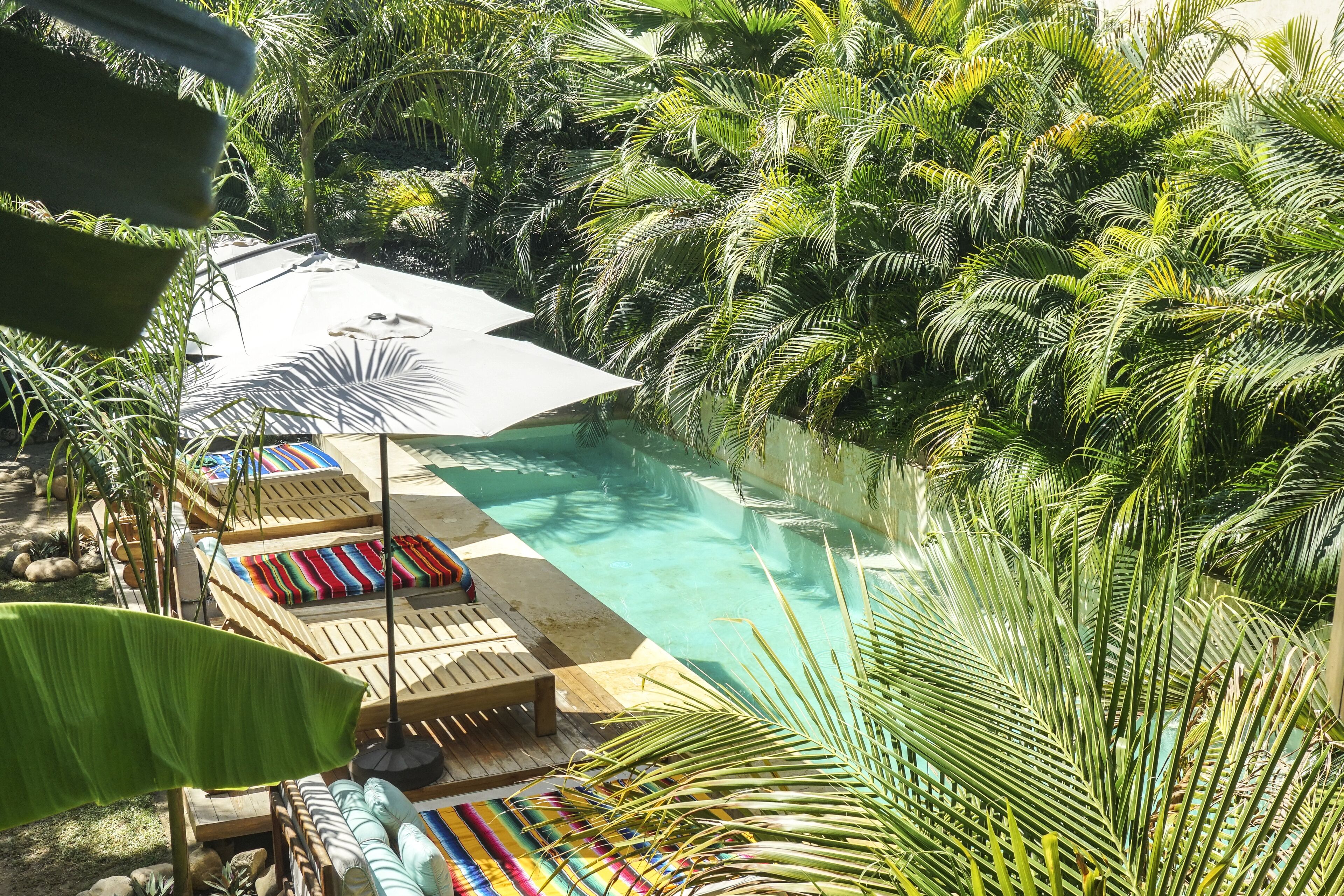 Foto - Hotel Gallo de Mar