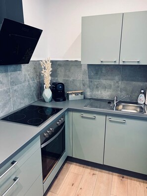 Fridge, microwave, oven, stovetop - Superb equipped studio - Mulhouse ville (Mulhouse)