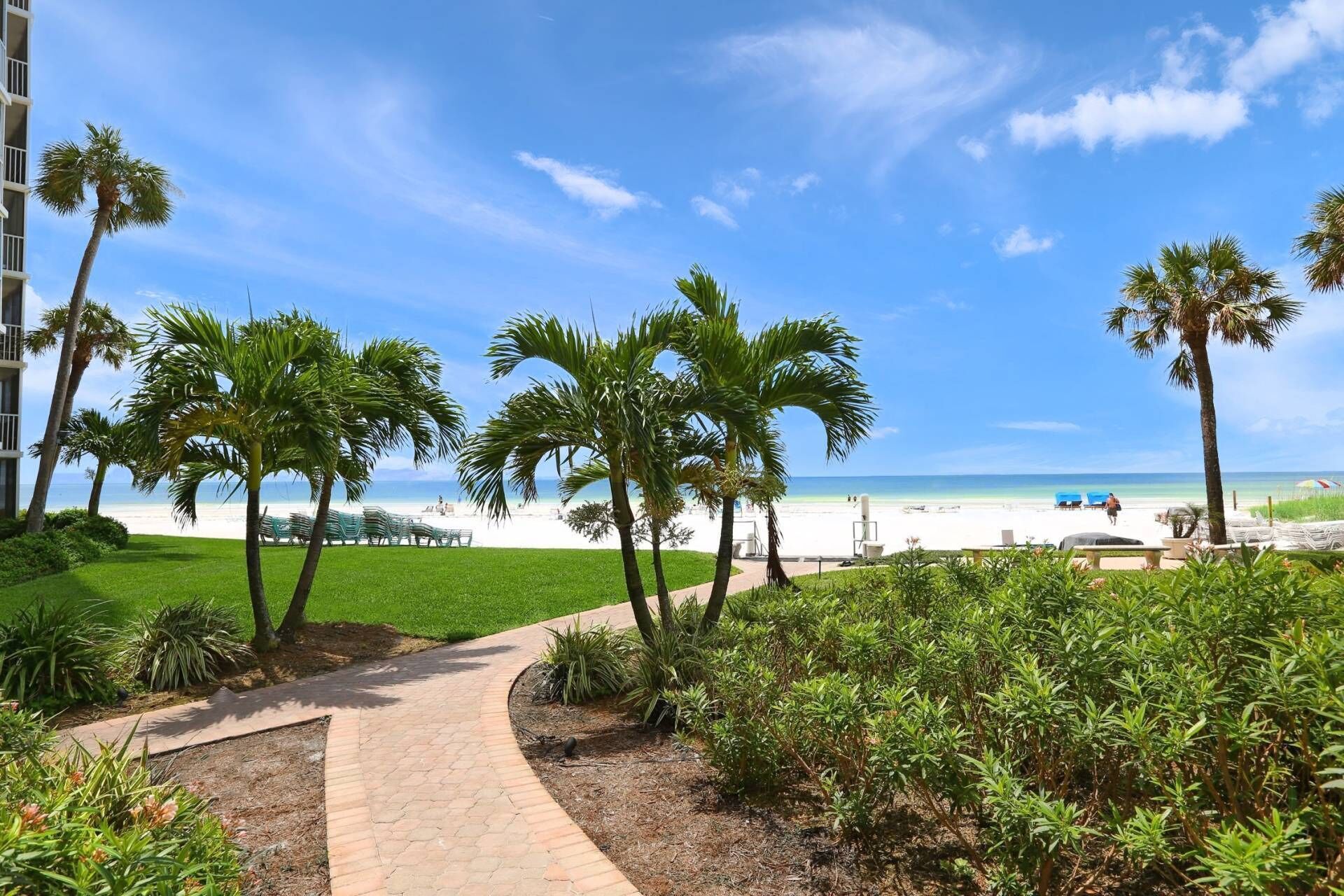 A pathway leading to a beach with palm trees and a clear view of the ocean.