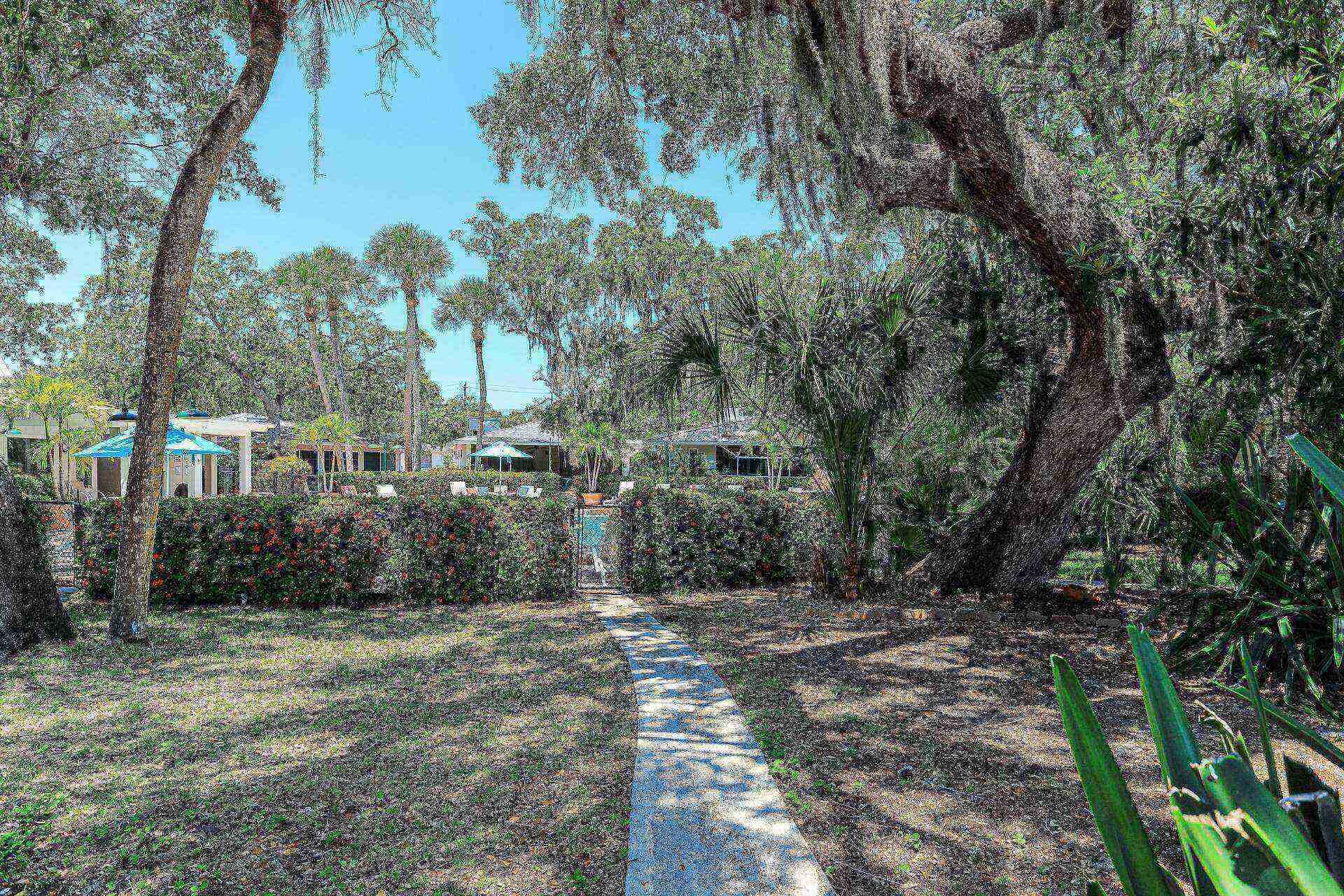 A pathway leading through a wooded area with buildings in the background.