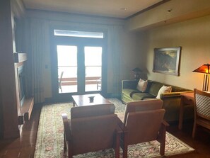 TV, fireplace, video games, DVD player