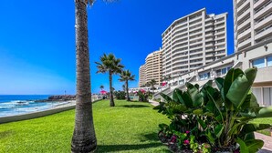 Ein Hotel am Strand mit einem gepflegten Rasen, Palmen und Blick auf den Ozean.