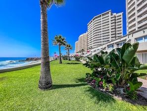 Un hotel frente a la playa con un césped cuidado, palmeras y vistas al océano.