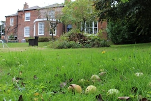 Property grounds