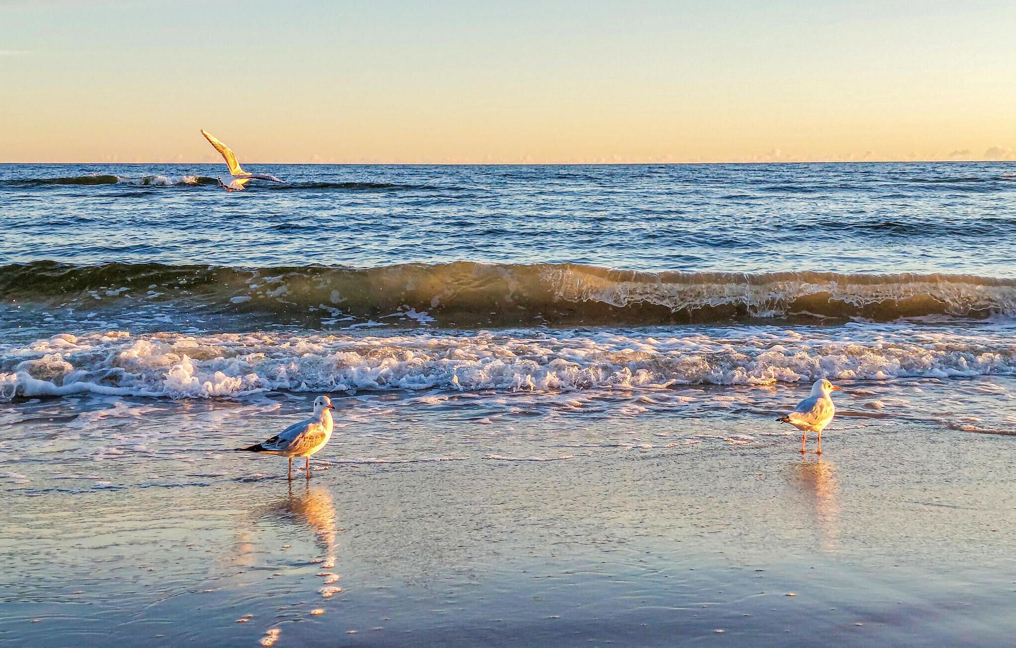 Playa en los alrededores 