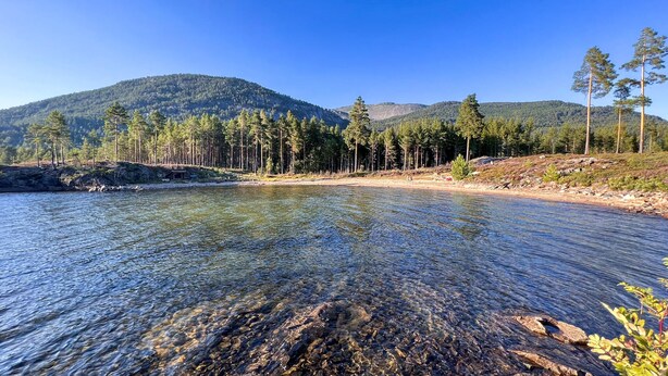 Ein klarer See mit sichtbaren Felsen und Bäumen am Ufer.