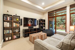 Télévision à écran plat, cheminée, chaîne hi-fi