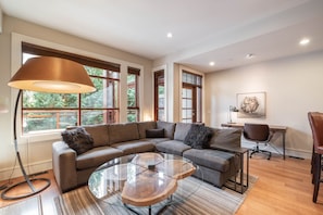 Flat-screen TV, fireplace, books, stereo
