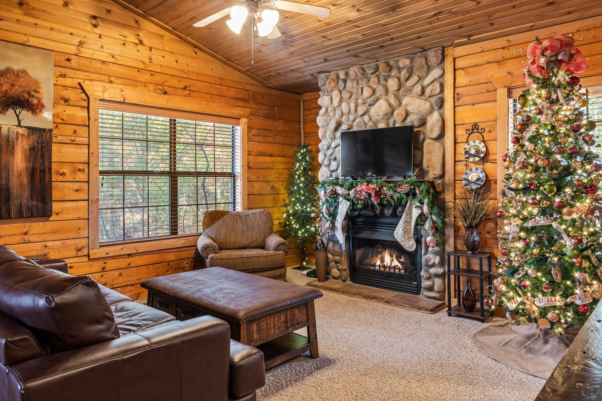 Smart TV, fireplace, DVD player