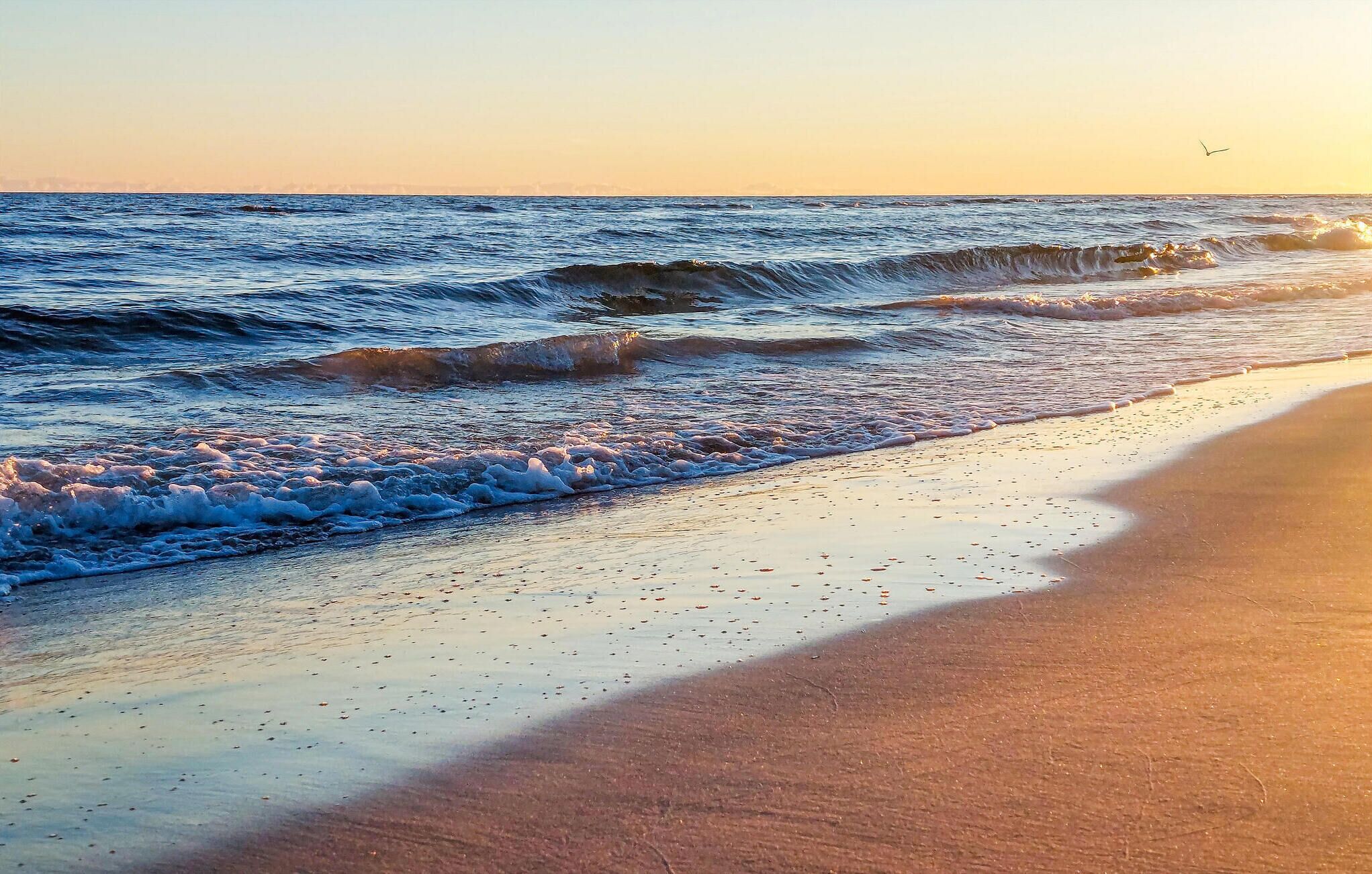 Playa en los alrededores 