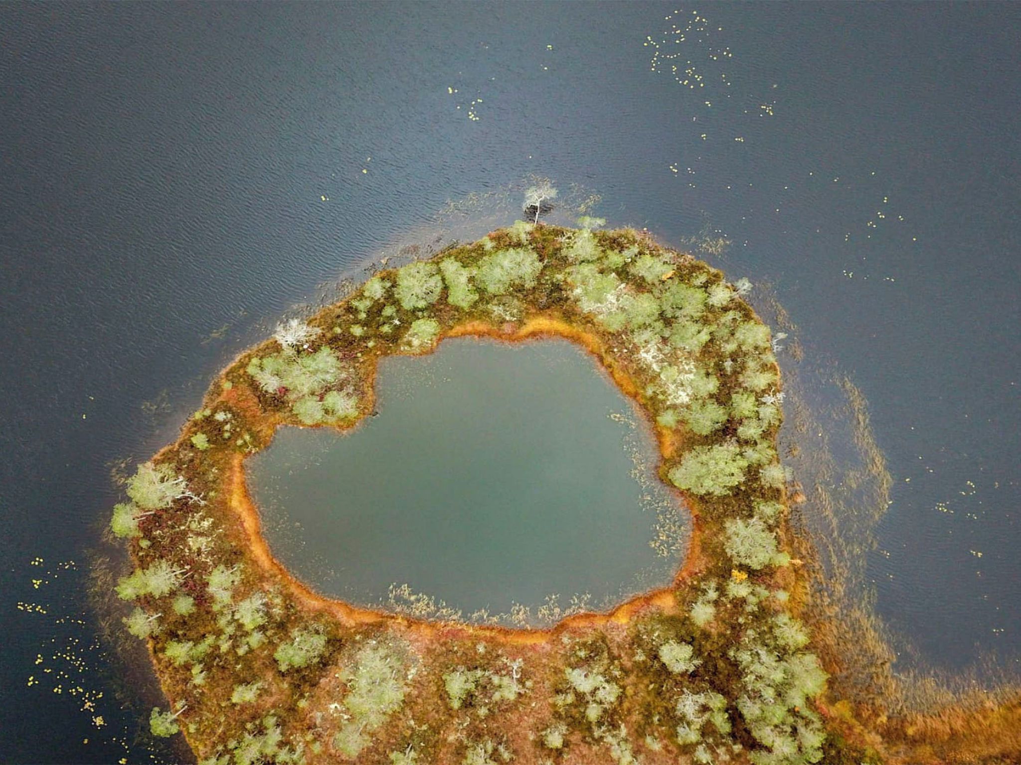 En vy från ovan av en cirkelformad vattenyta omgiven av land med gles vegetation.