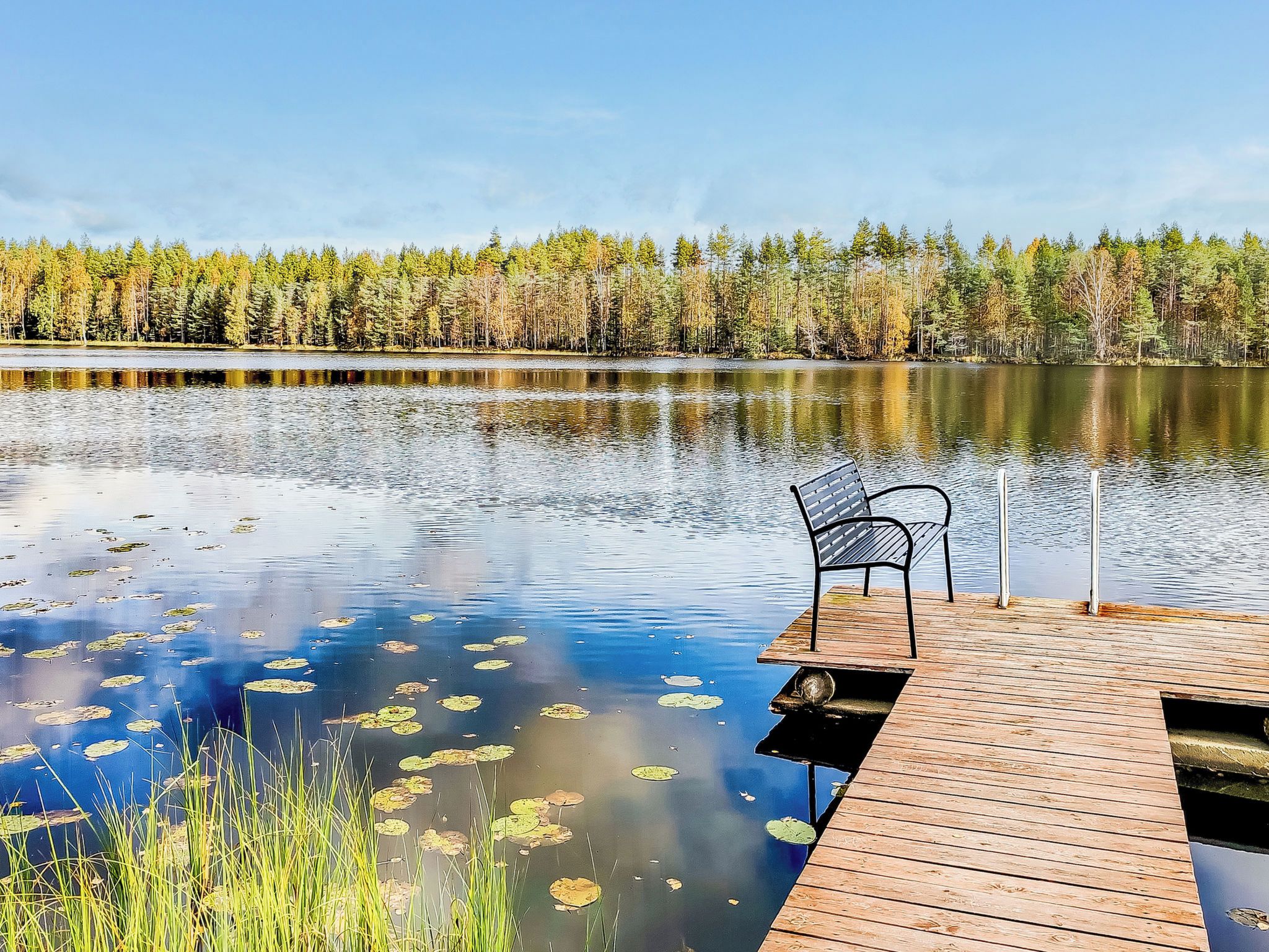 Puinen laituri, joka ulottuu tyynelle järvelle, jonka pinnalla kelluu lumpeenlehtiä, ja jonka ympärillä on tiheä metsä.
