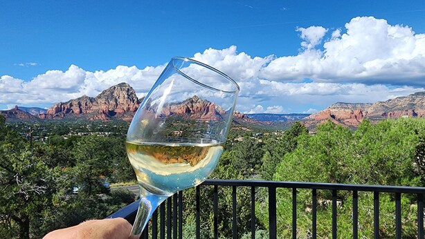A glass of white wine held by a person, with a scenic mountain view in the background.