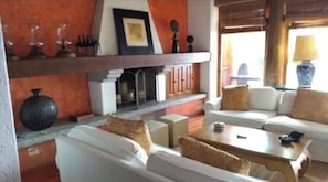 TV, fireplace, DVD player, books