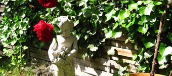 Lavender vacation apartment in Erfurt in a quiet location