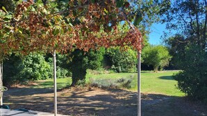 Een terras met een tafel en stoelen, omgeven door een tuin met een pergola erboven.
