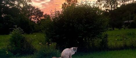 室外游泳池,恒温泳池