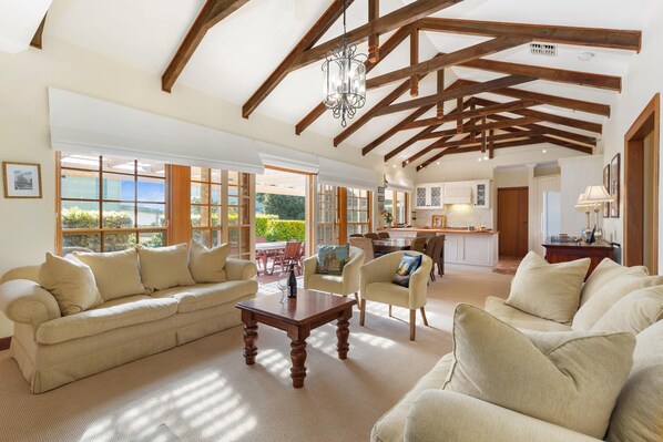 Televisión, chimenea, reproductor de DVD, libros