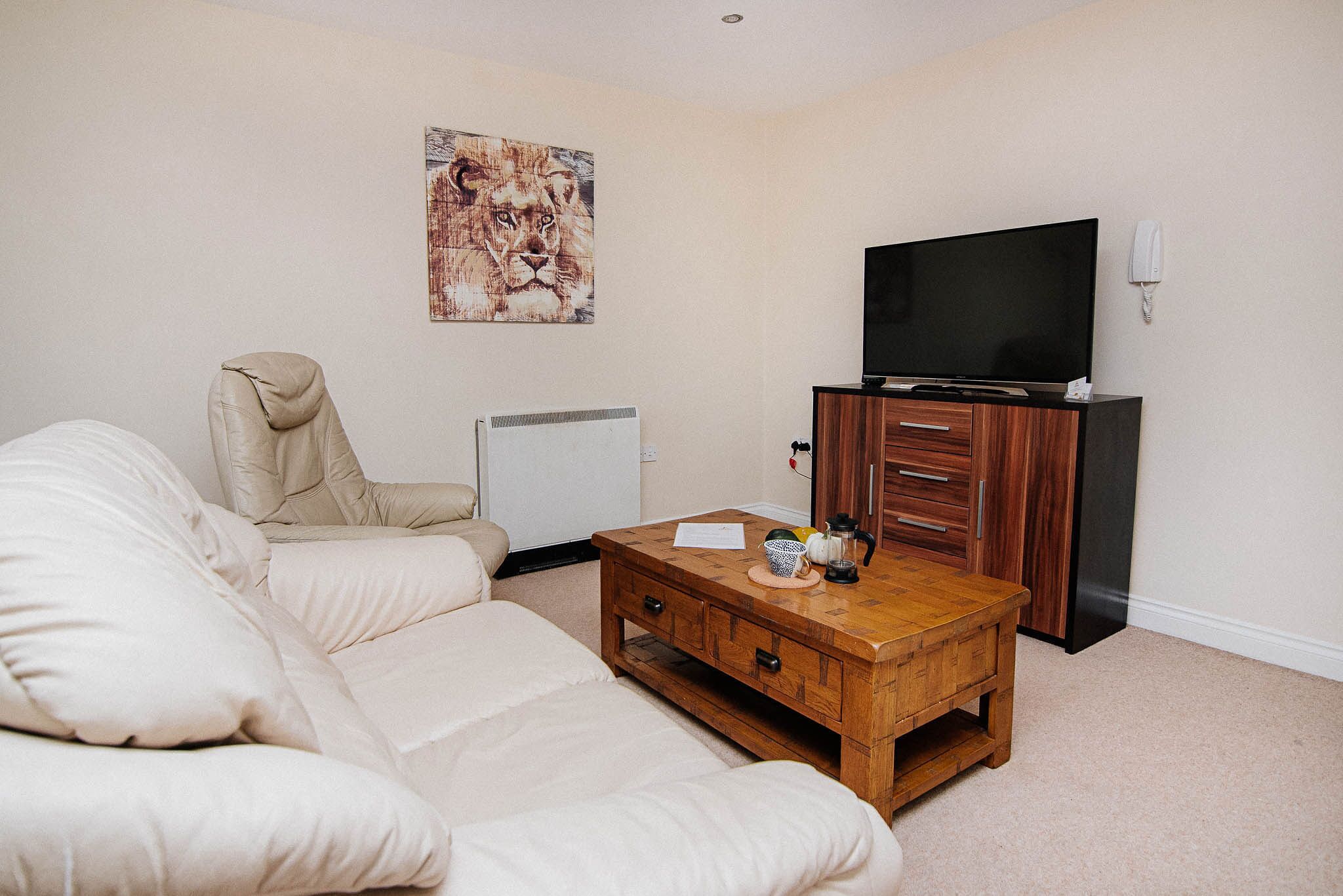 48-Zoll-Smart-TV mit Digitalempfang, Fernseher