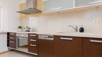 Fridge, oven, stovetop, dishwasher