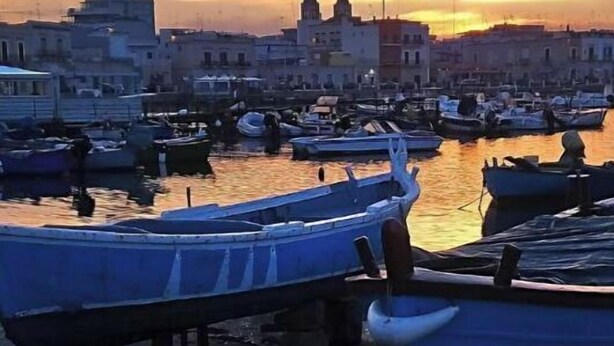 A harbor with boats docked and buildings in the background during sunset. - La Piccola Terrazza - Santo Spirito well connected with Bari (Bari)