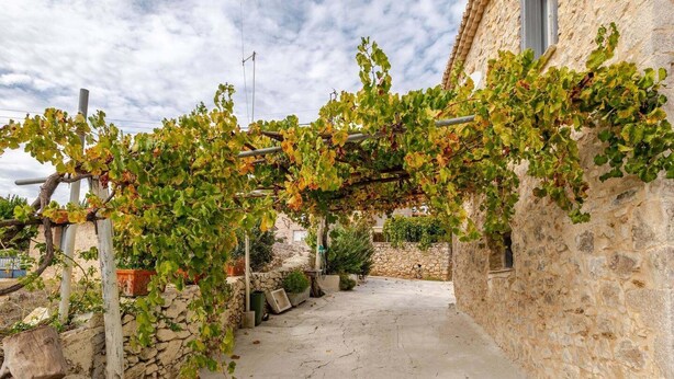 A stone building with a vine-covered pergola. - Serenity Villa Retreat in Pidasos (Pylos-Nestoras)