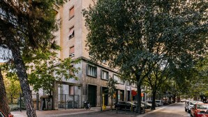 Une rue bordée de voitures garées et d’arbres, un immeuble avec une grande entrée, et une personne qui marche.