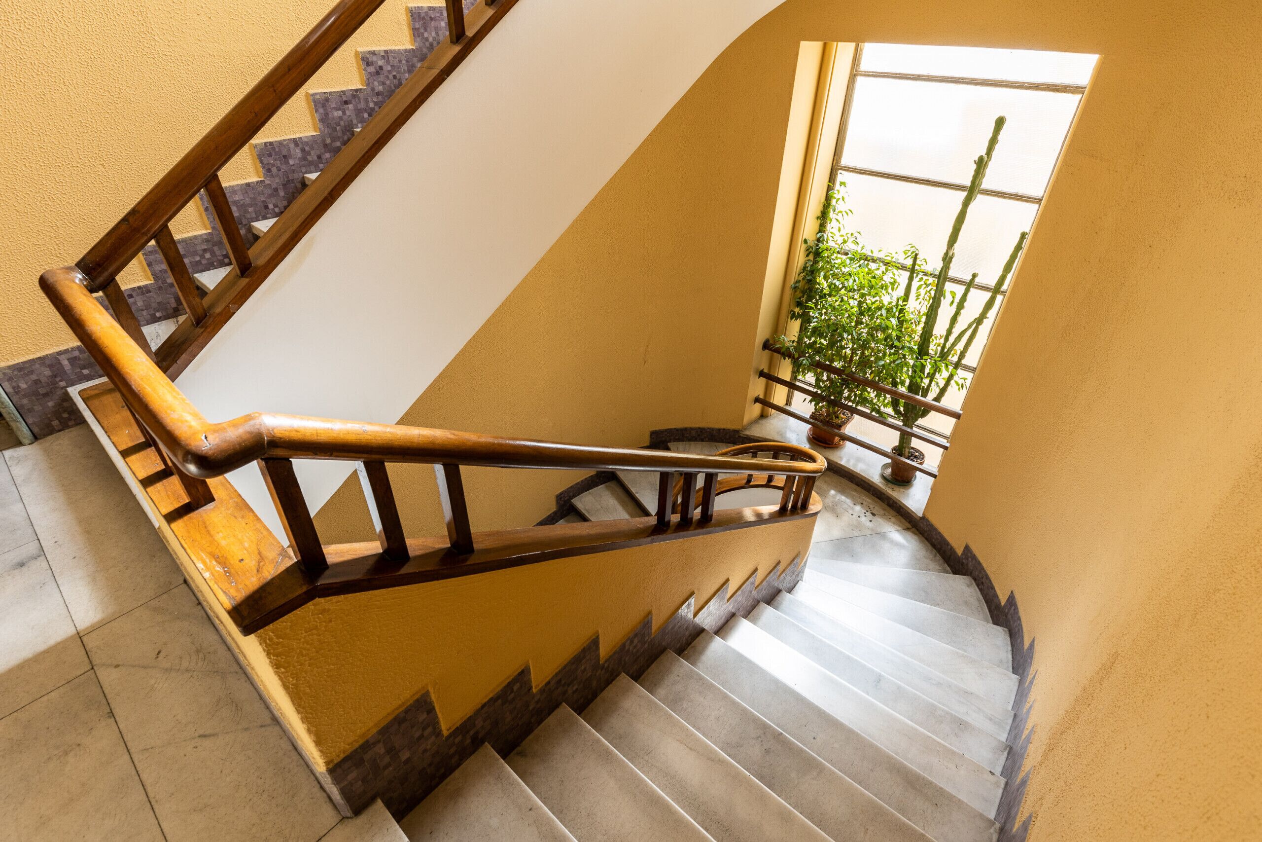 A staircase with wooden handrails and a glass balustrade, leading to a landing with a potted plant.