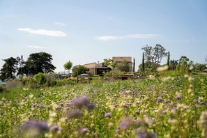 المنطقة المحيطة بالمنشأة