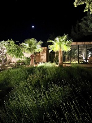 A nighttime outdoor area with palm trees, a stone wall, and a building with reflective glass windows.