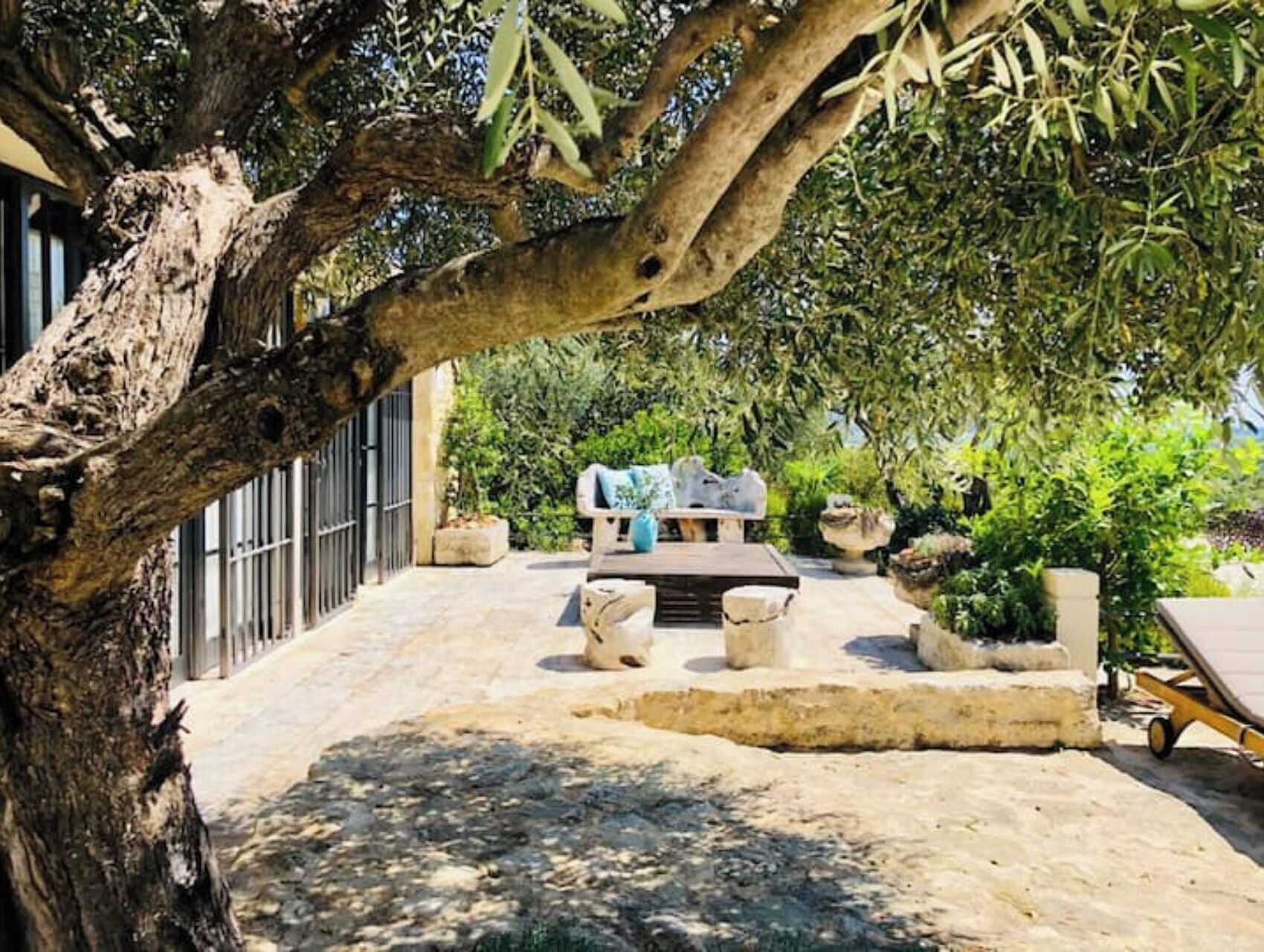 Een terras met een stenen bank, een tafel en een grote boom die schaduw geeft.