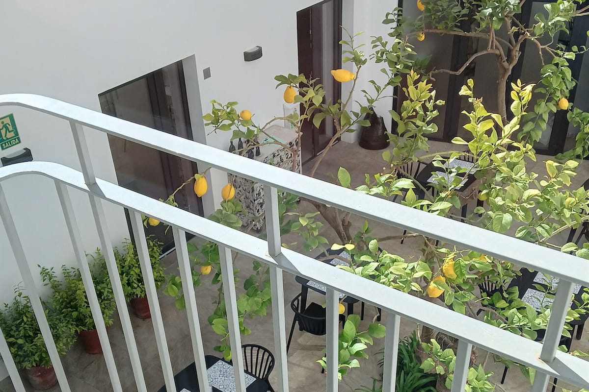 A balcony with a white railing, potted plants, and tables with chairs, overlooking a courtyard with a tree and a building in the background.