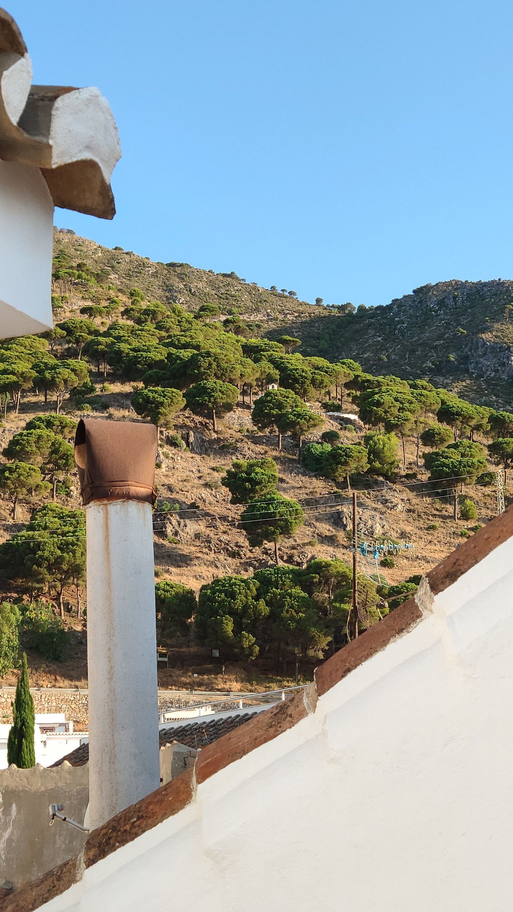 Photo - OPUNTIA Hotel Boutique