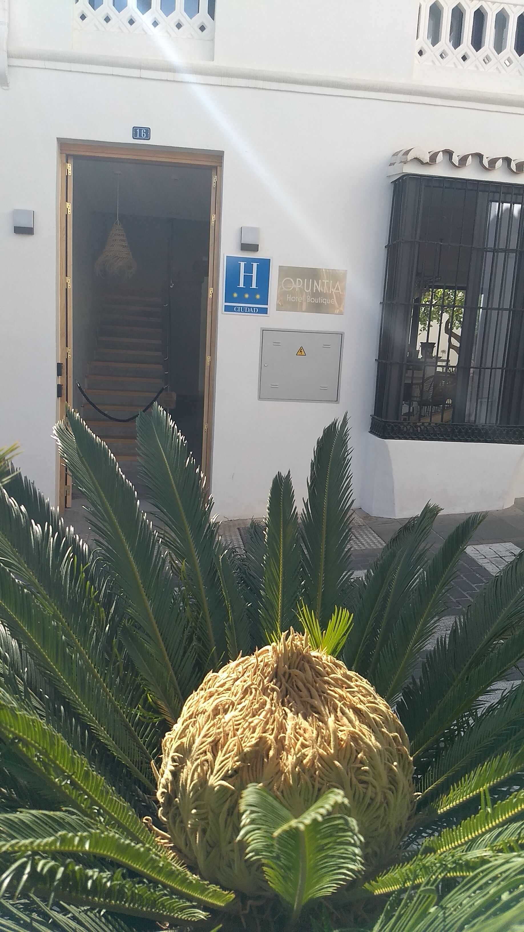 Photo - OPUNTIA Hotel Boutique