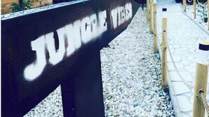 Ett trästaket med en skylt som visar texten ”Jungle Vibes”.