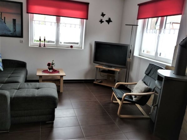 TV, fireplace, DVD player, books