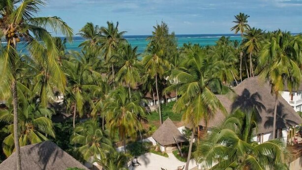 A resort with thatched-roof huts, a swimming pool, and palm trees. - Tamu Tamu Boutique Hotel (Pwani Mchangani)