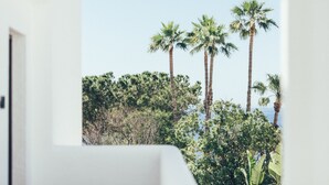 A view from a balcony with tall palm trees and dense foliage in the background. - Cala Lanuza Suites (El Campello)