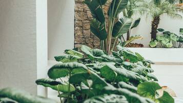A lush indoor garden with large green plants and a stone wall.
