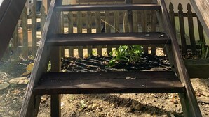 Una escalera de madera que lleva a una zona cubierta con vistas a árboles y una cerca.